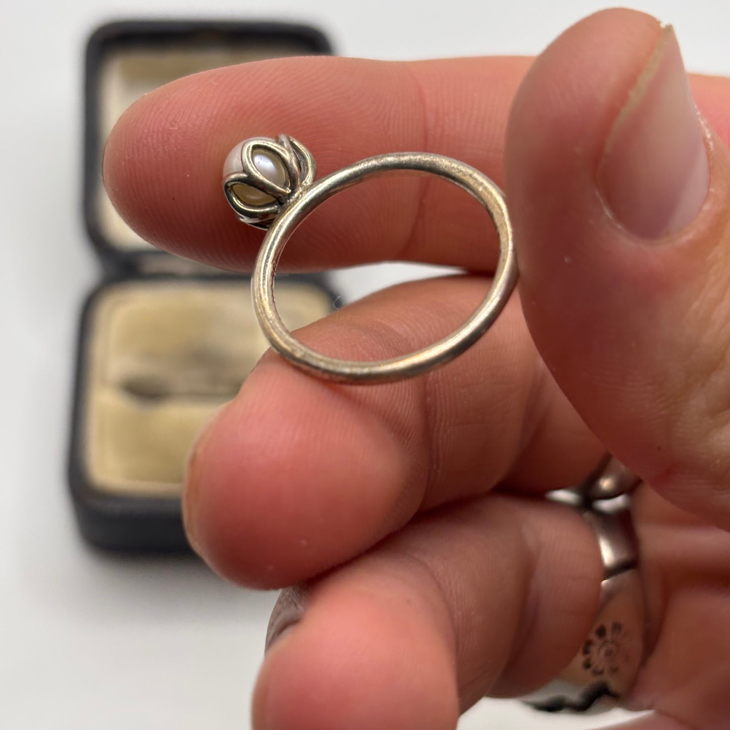 Silver Pandora Pearl Ring (P)