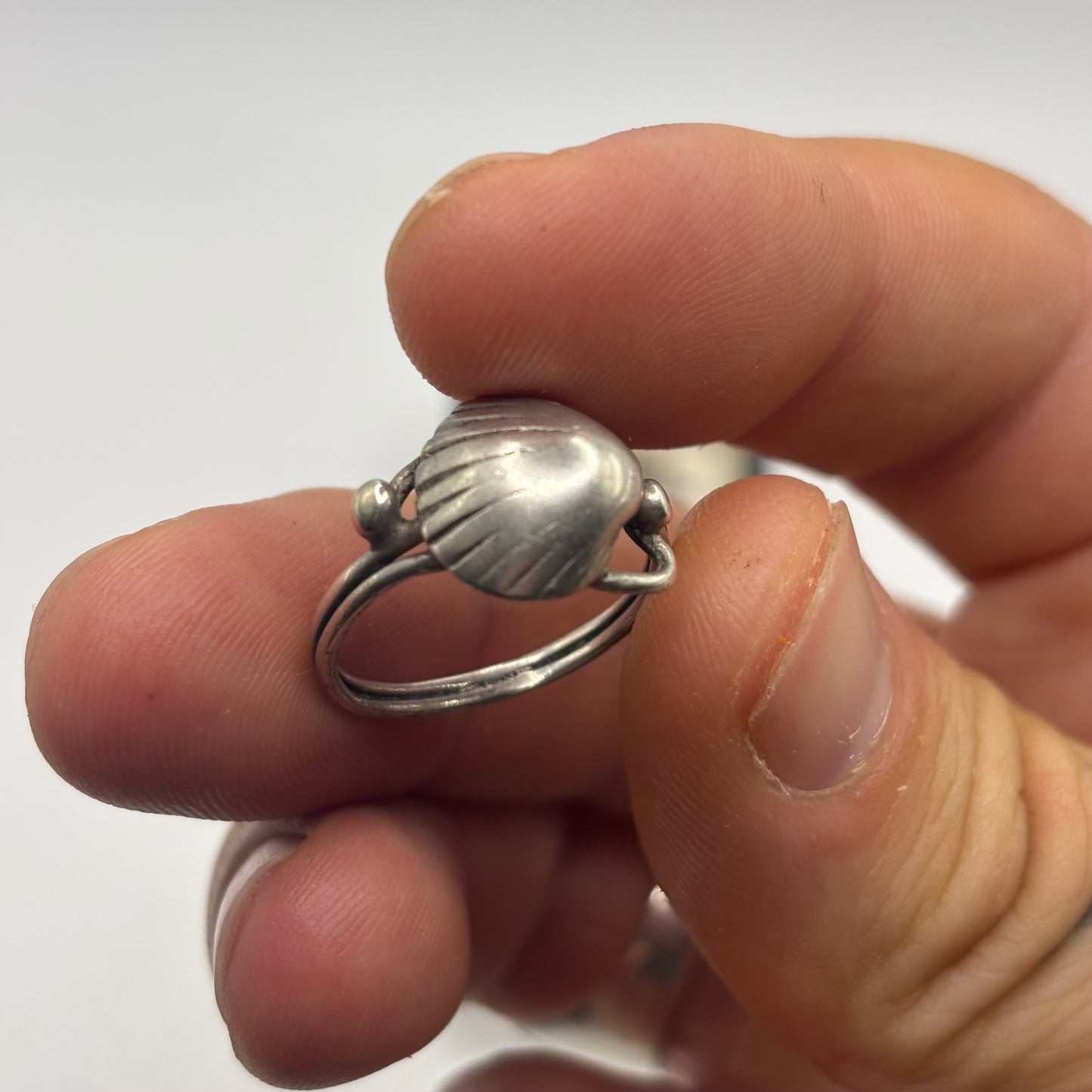 Silver Shell Ring
