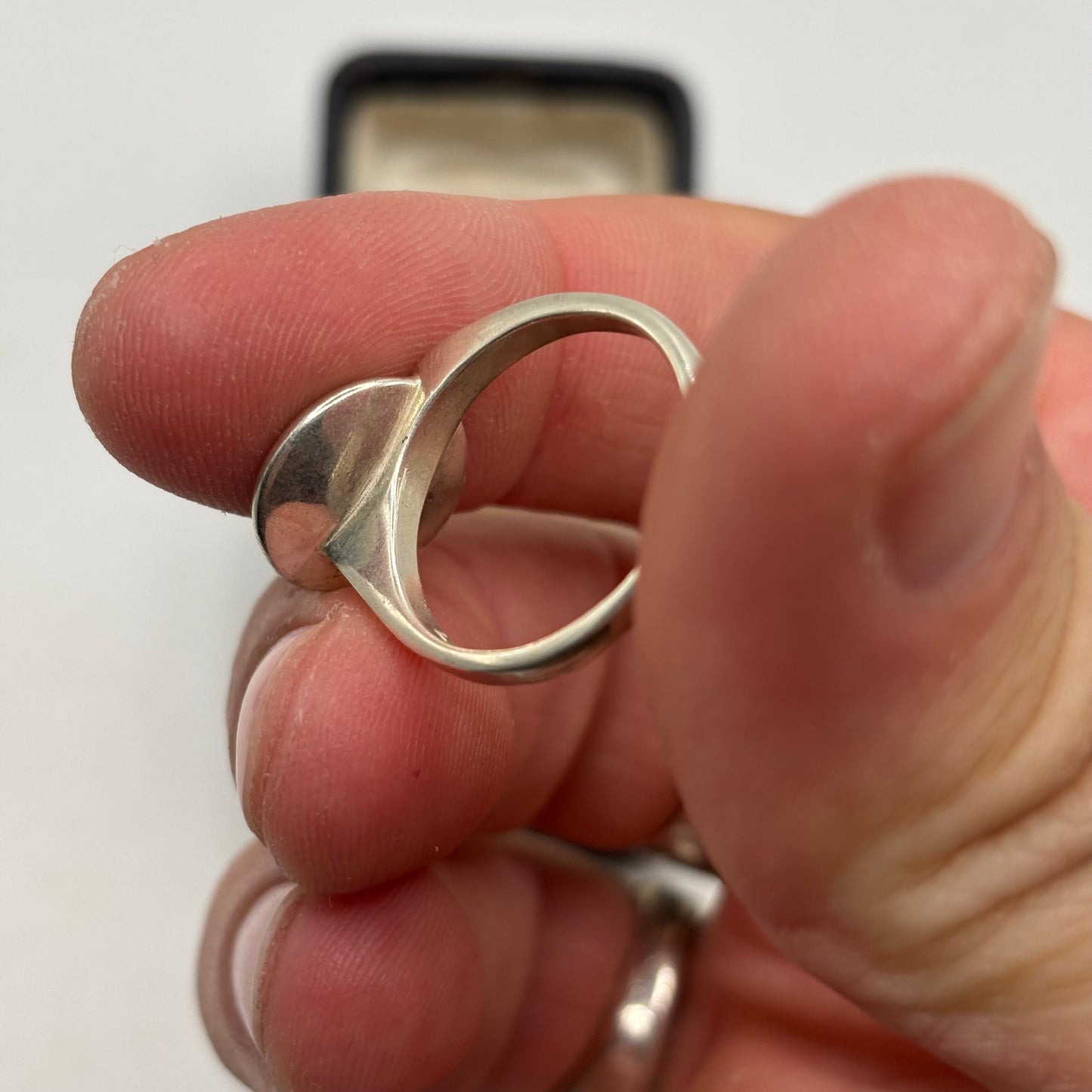 Silver Amber Inlayed Ring (Q)