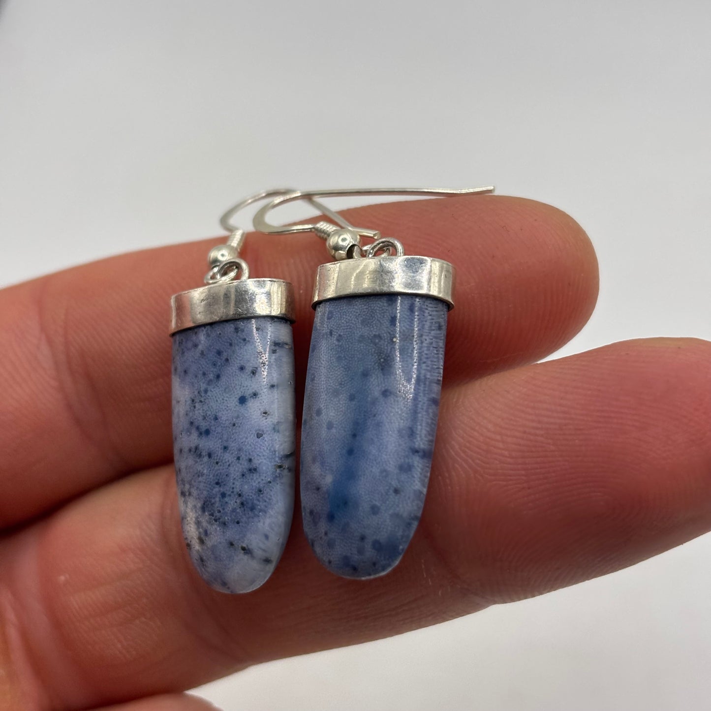 Silver Sodalite Earrings