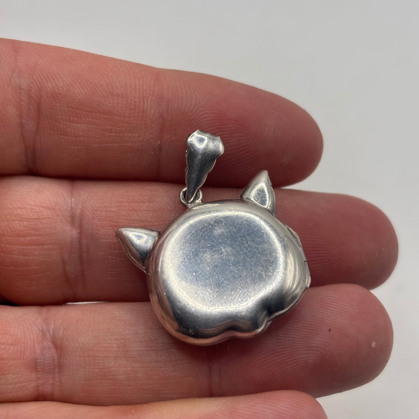 Silver Pig Locket