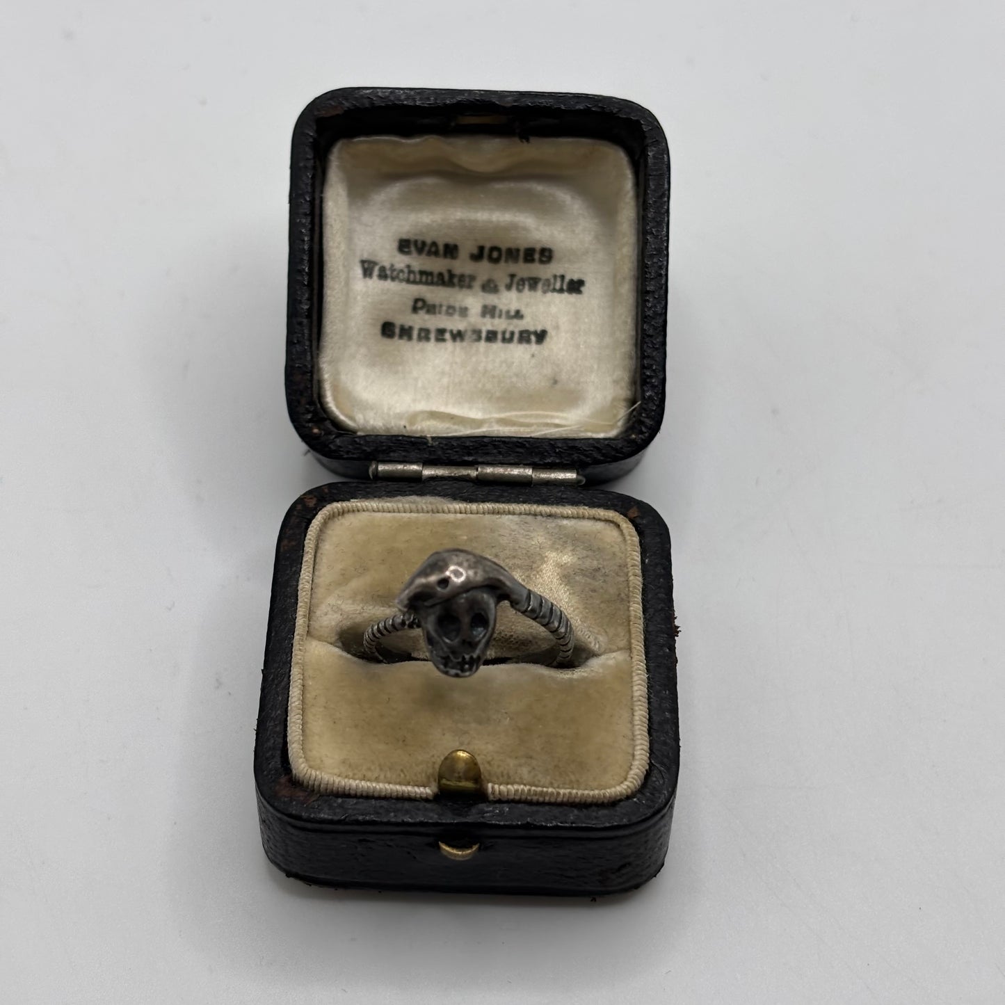 Silver Skull & Snake Ring (M)