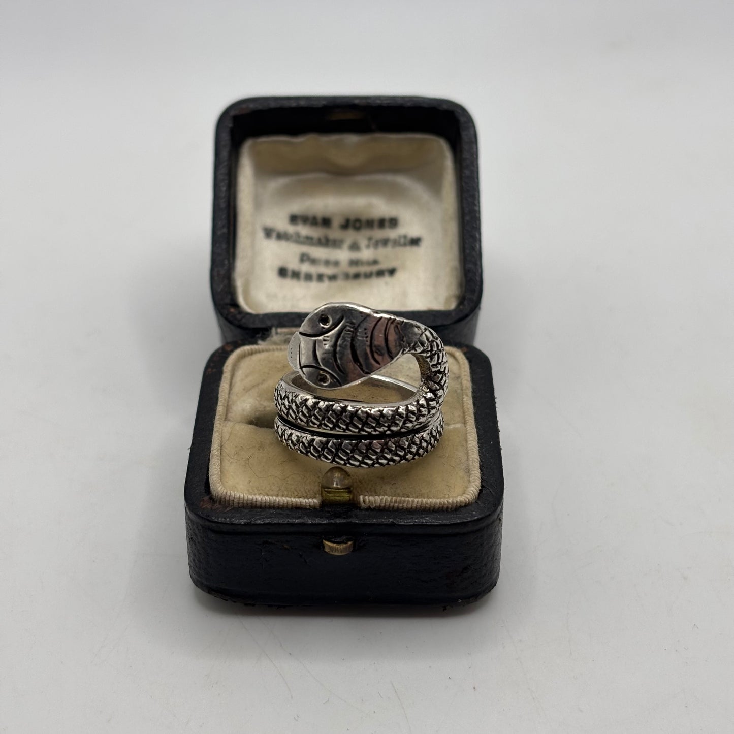 Silver Coiled Snake Ring