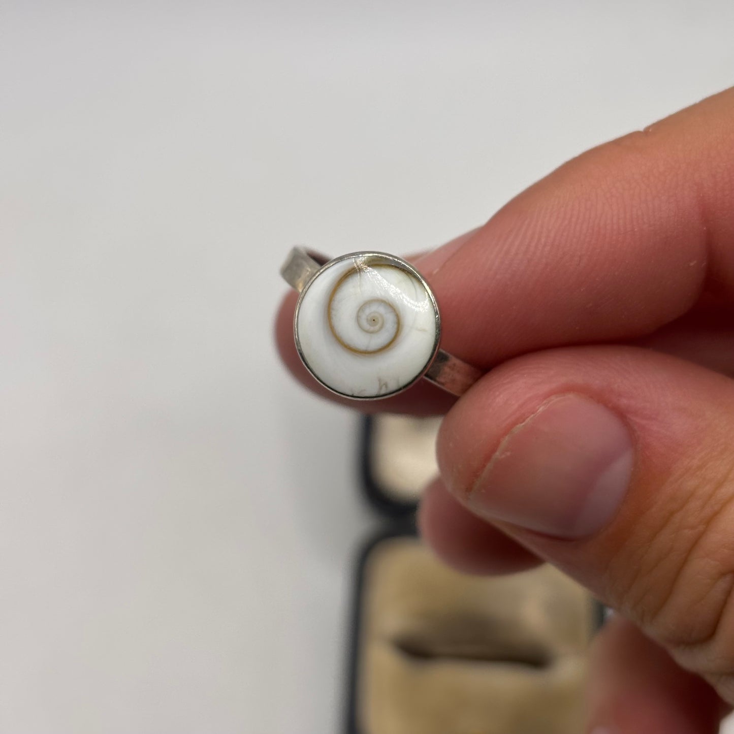 Silver Shell Ring (S)