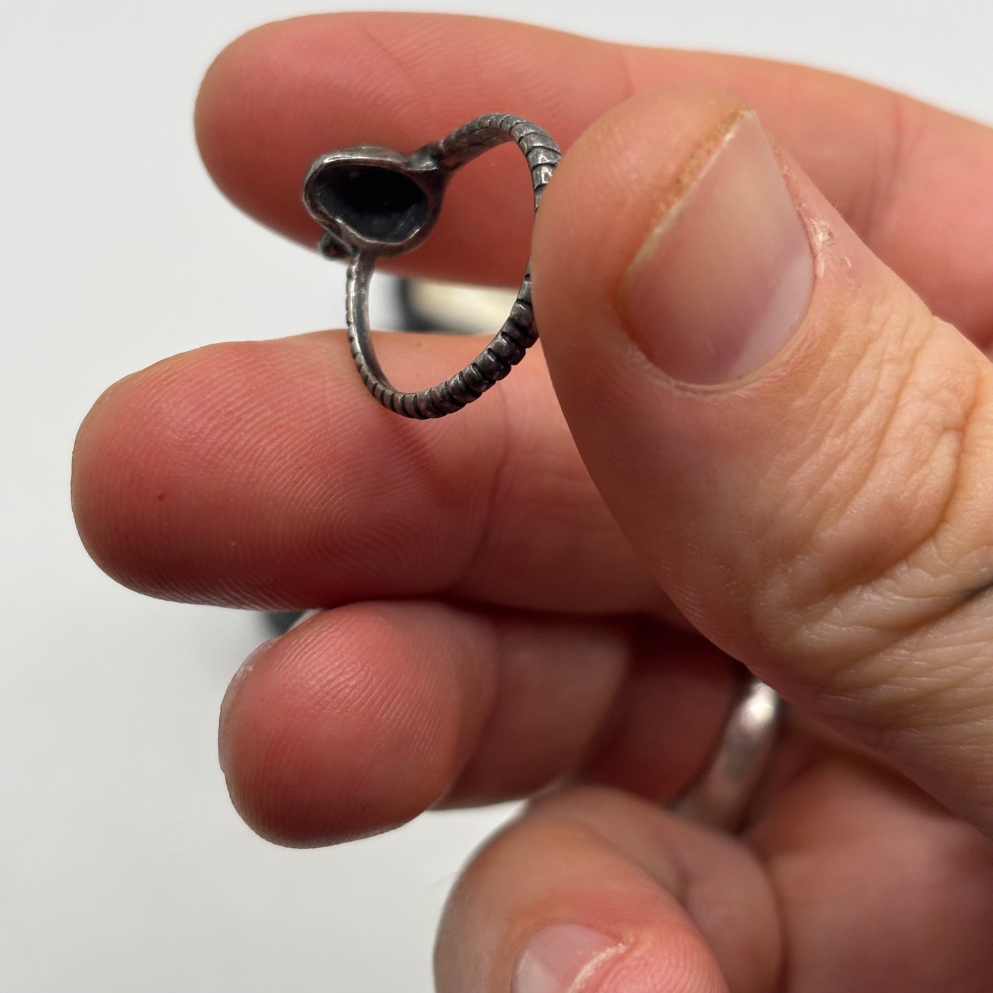 Silver Skull & Snake Ring