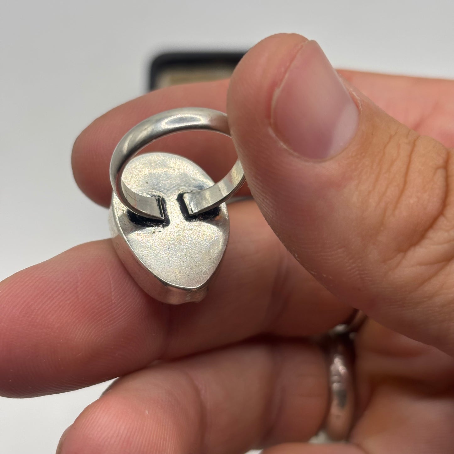 Silver Shell Ring (K)