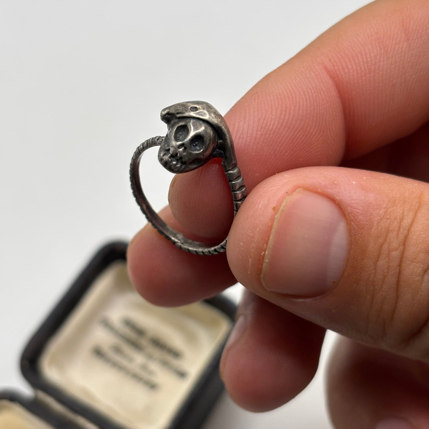 Silver Skull & Snake Ring (M)