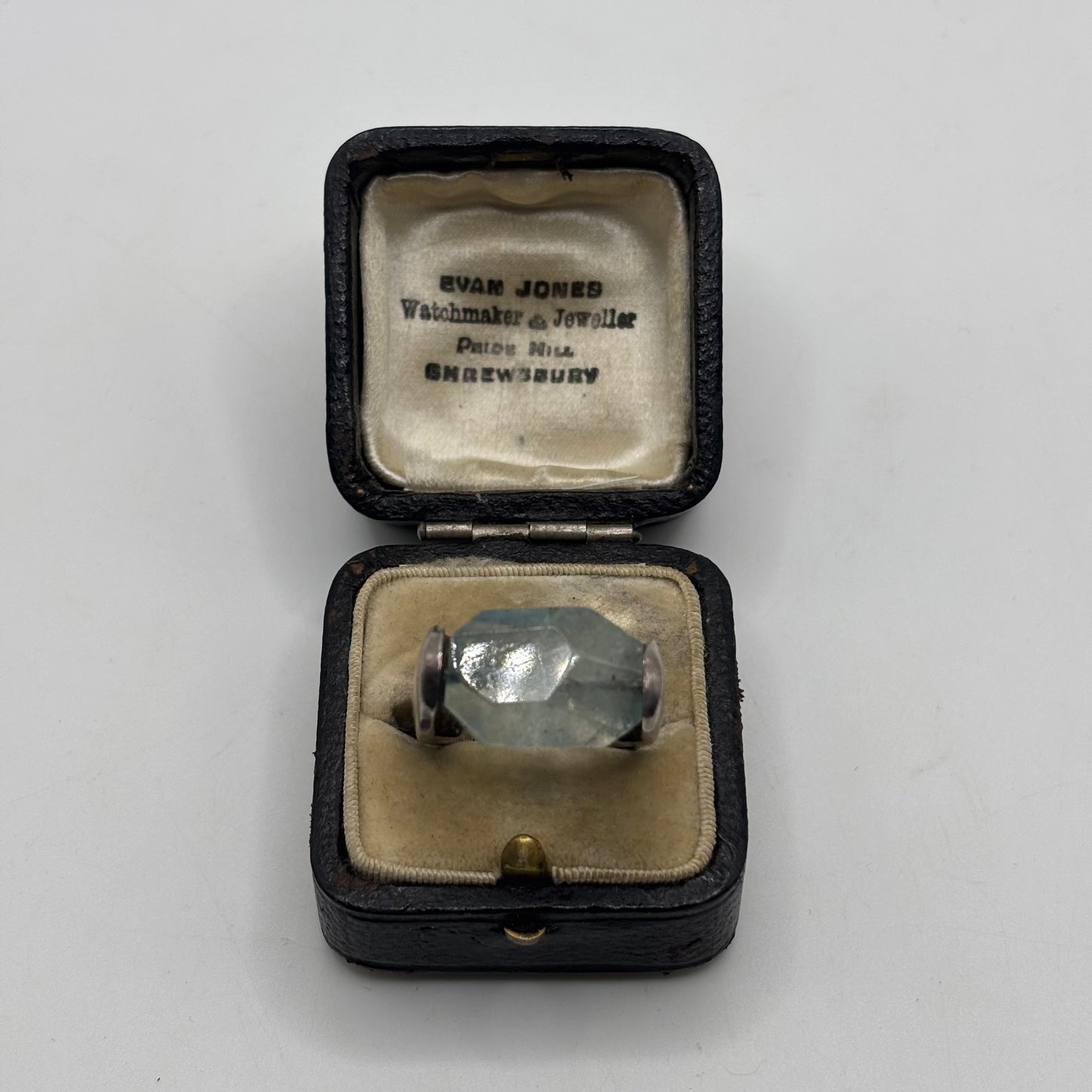 Silver Chunky Gemstone Spinner Ring (M)