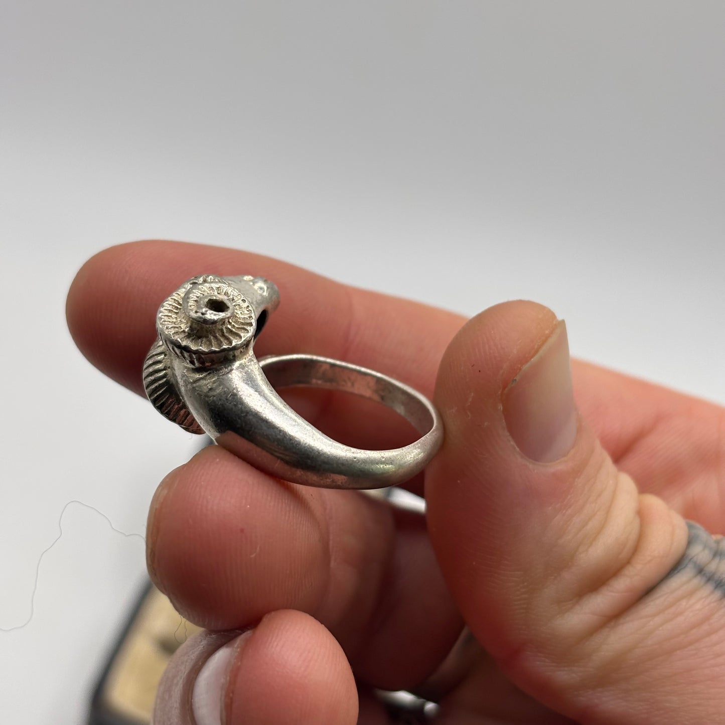 Silver Beautiful Rams Head Ring (T)