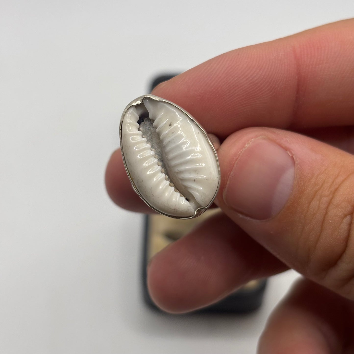 Silver Shell Ring (K)