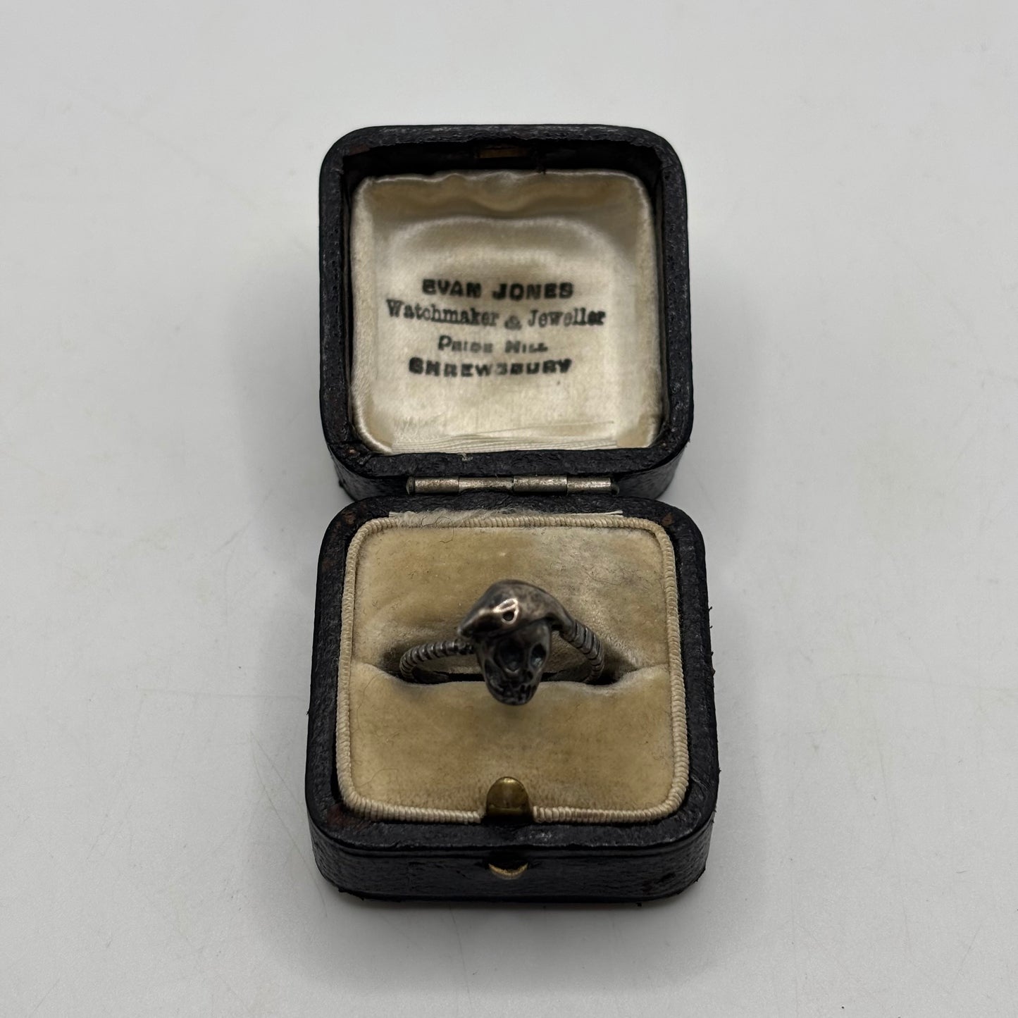 Silver Skull & Snake Ring