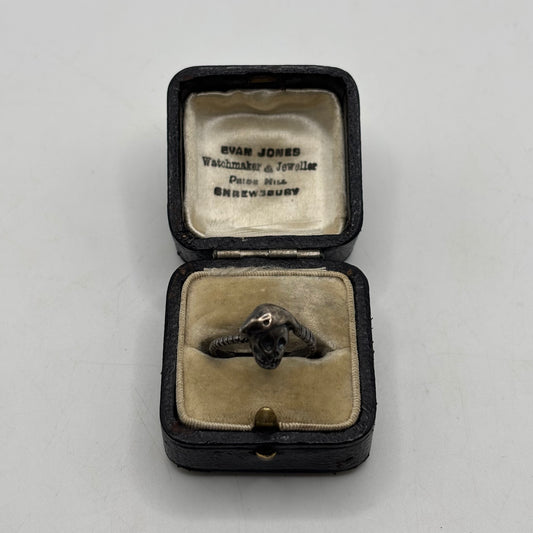Silver Skull & Snake Ring