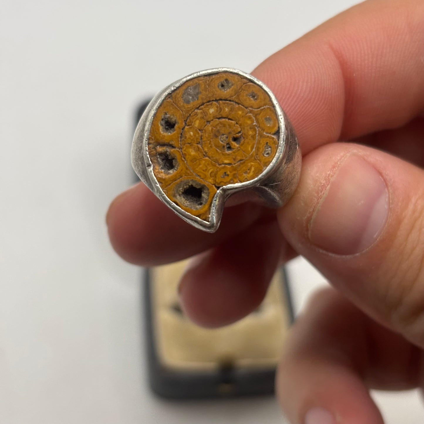 Silver Heavy Ammonite Ring (Q)