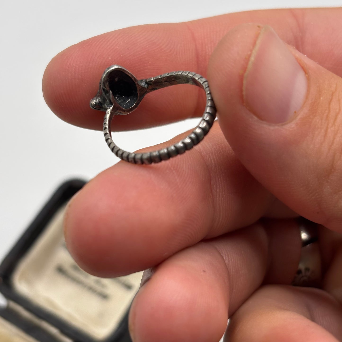 Silver Skull & Snake Ring (M)