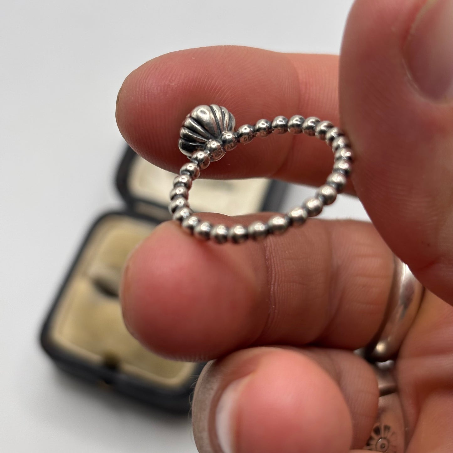 Silver Pandora Moonstone Ring (P)