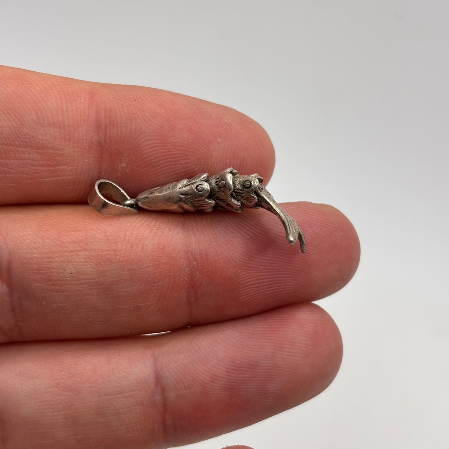 Silver Anatomical Fish (35mm)