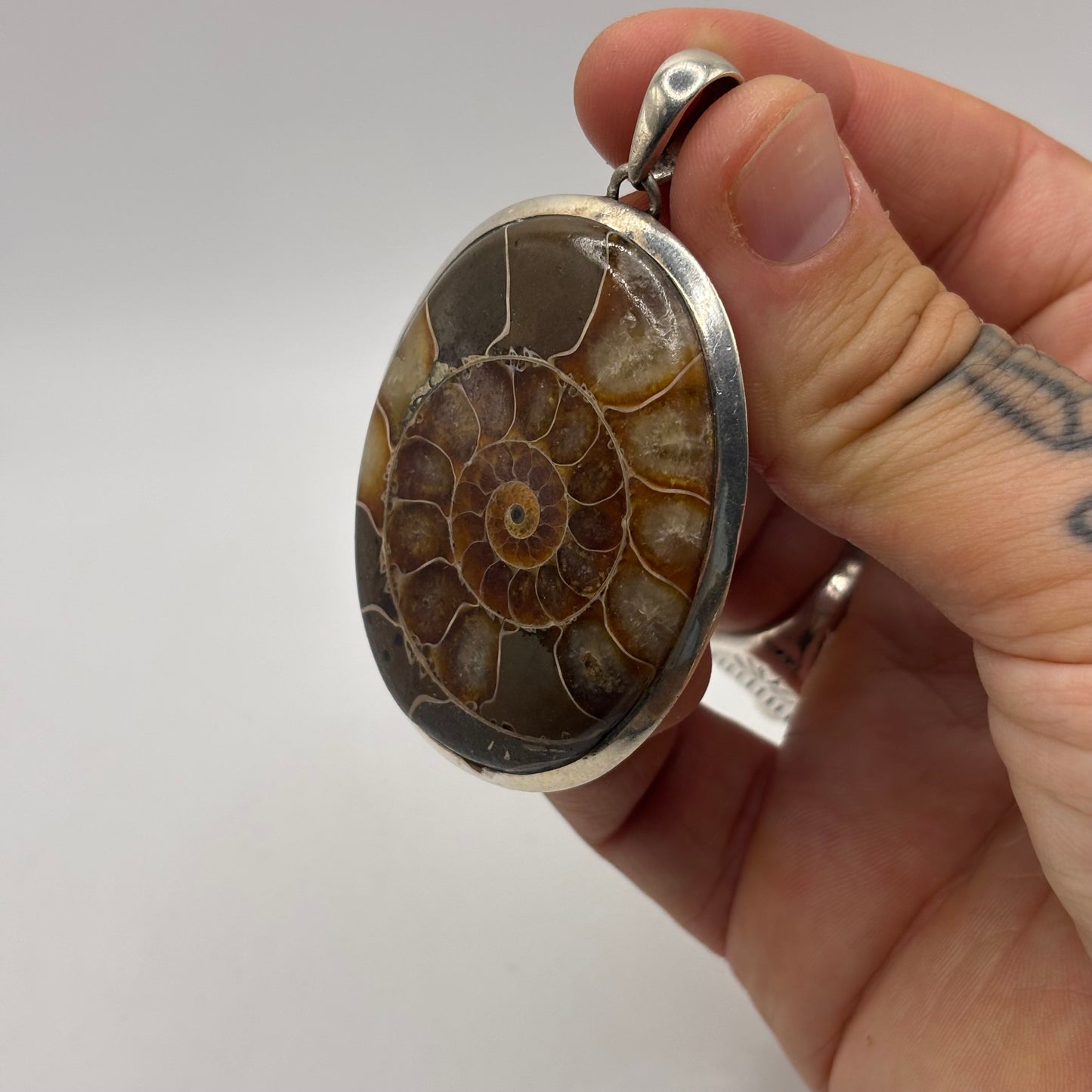 Silver Large Ammonite Pendant