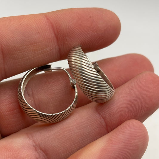 Silver Earrings