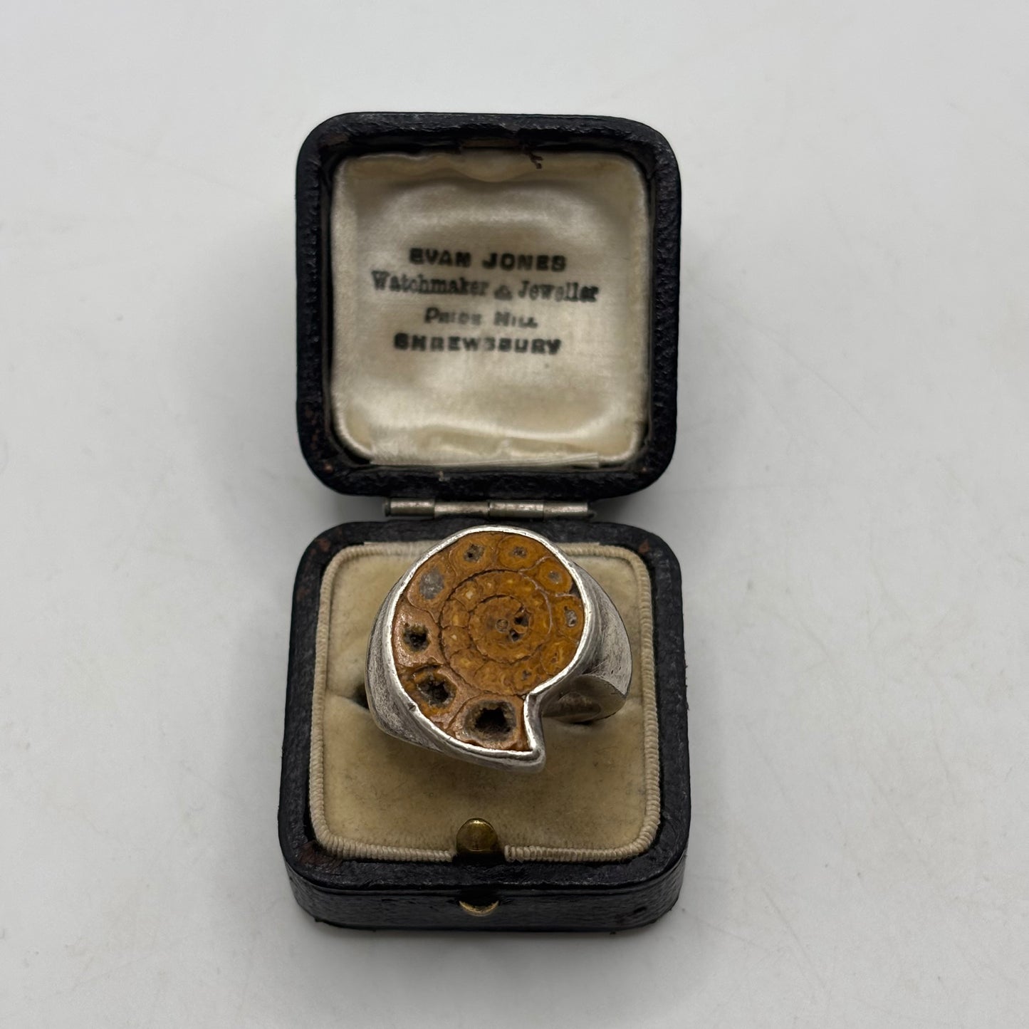 Silver Heavy Ammonite Ring (Q)