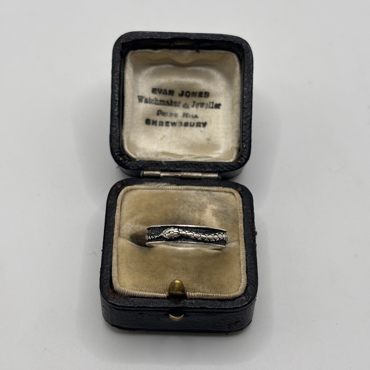 Silver Snake Ring (N)