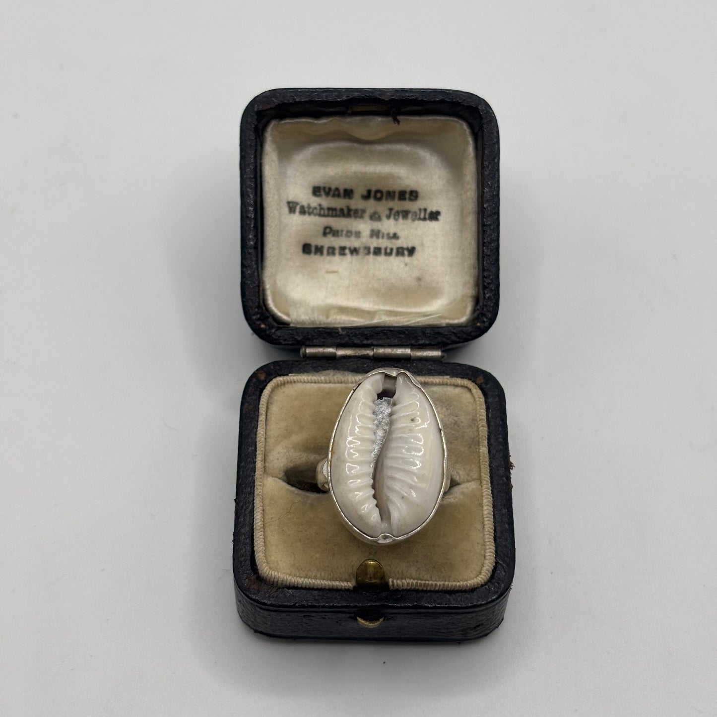 Silver Shell Ring (K)