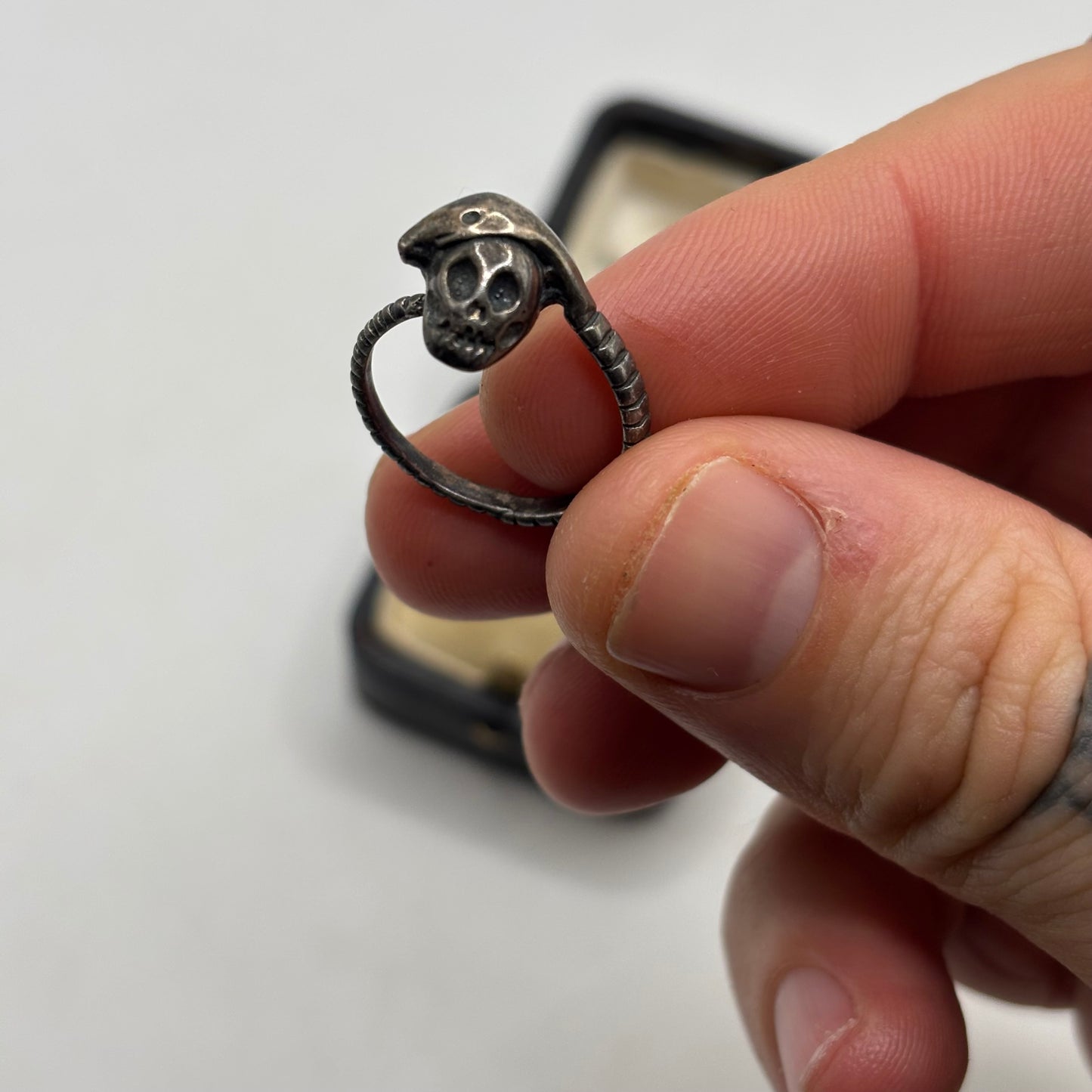 Silver Skull & Snake Ring