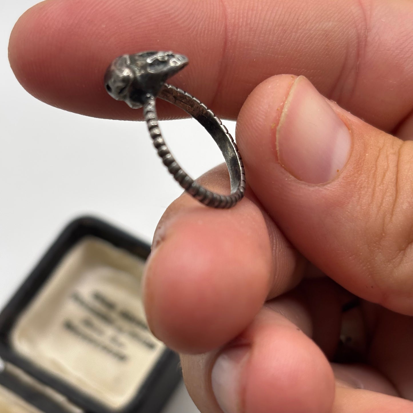 Silver Skull & Snake Ring (M)