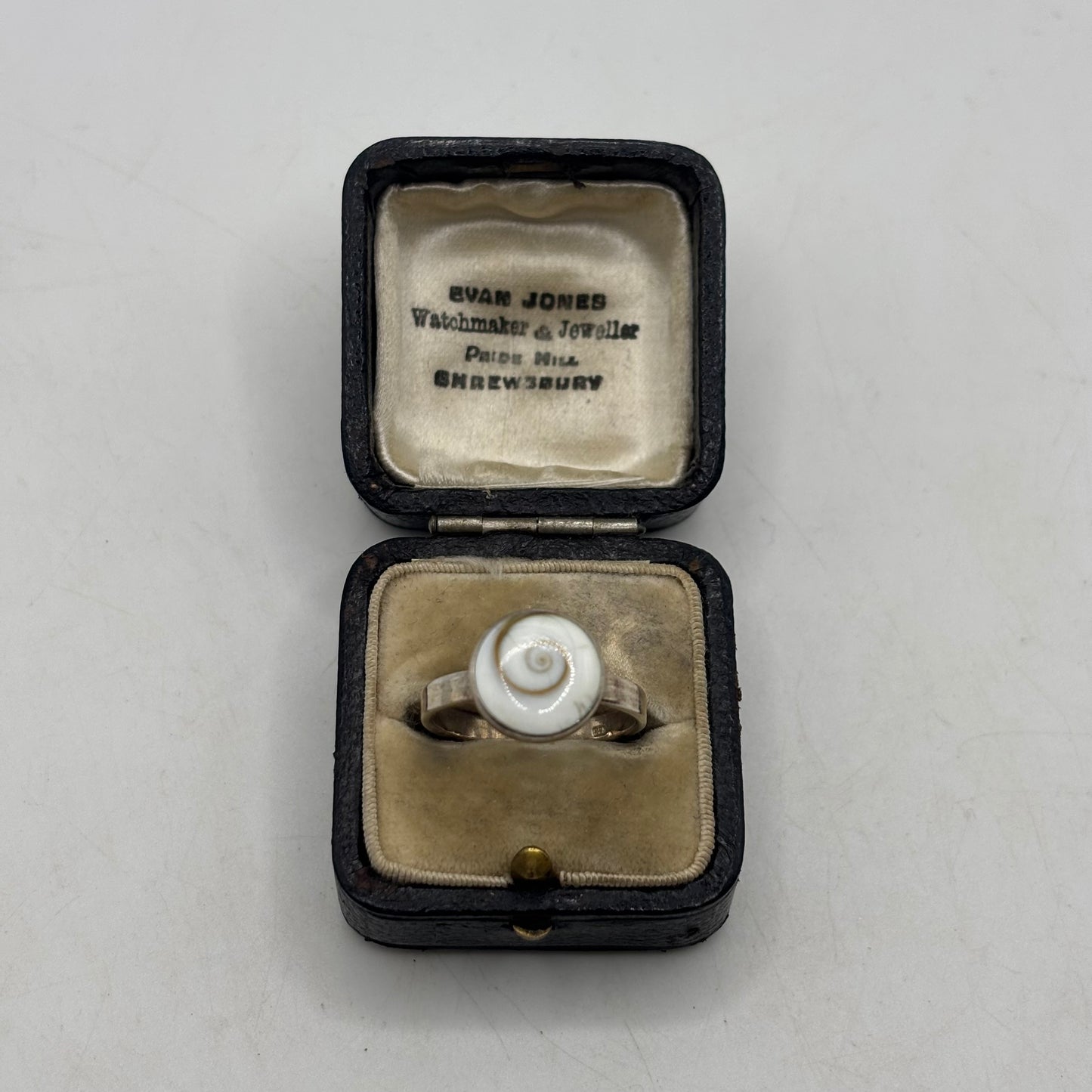 Silver Shell Ring (S)