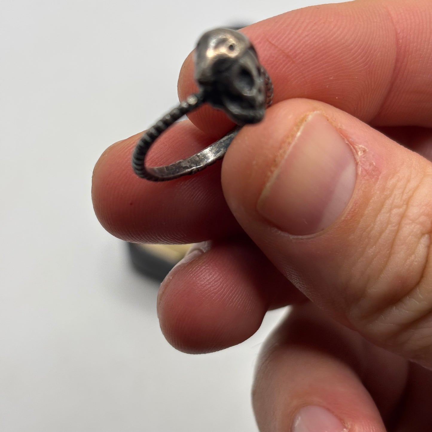 Silver Skull & Snake Ring