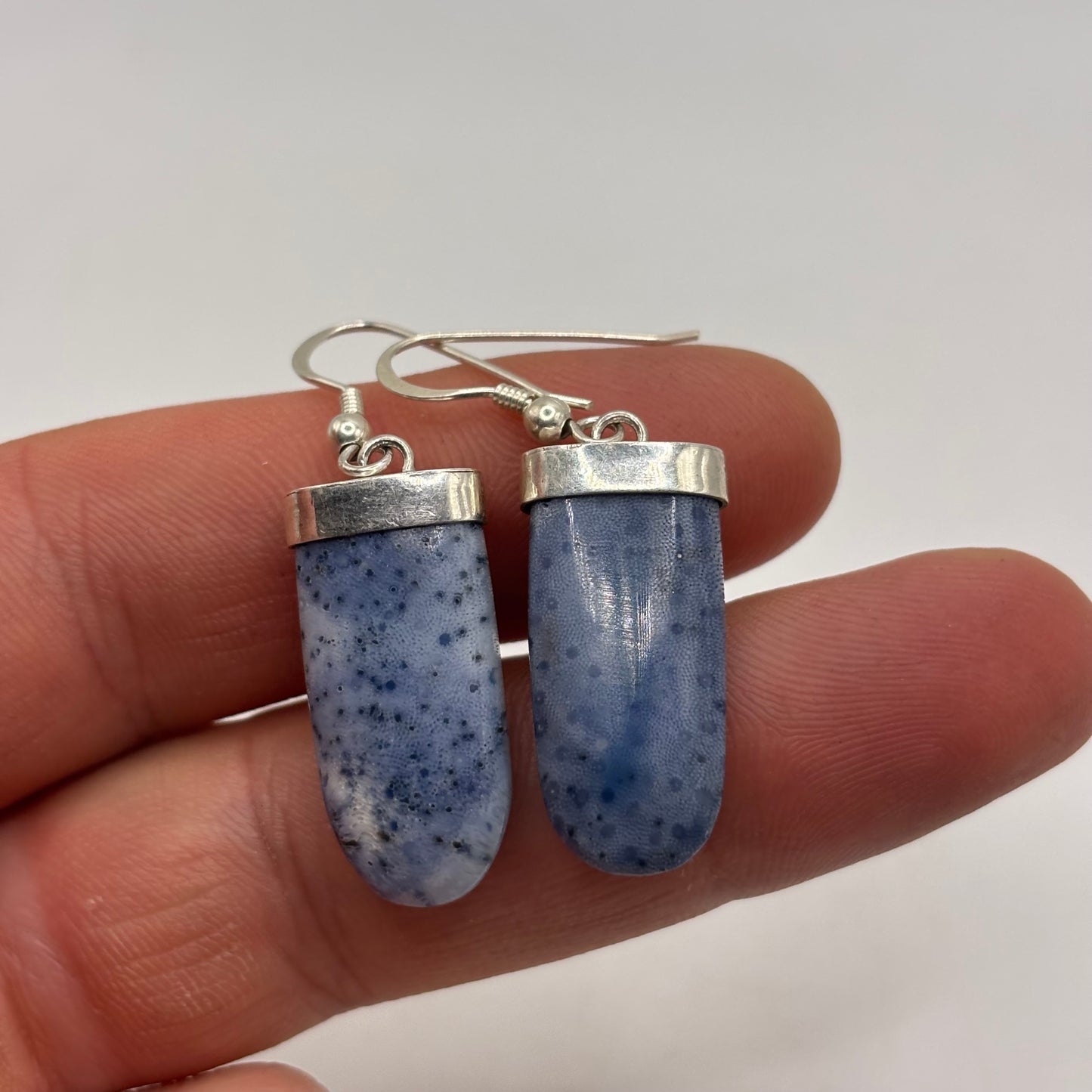 Silver Sodalite Earrings