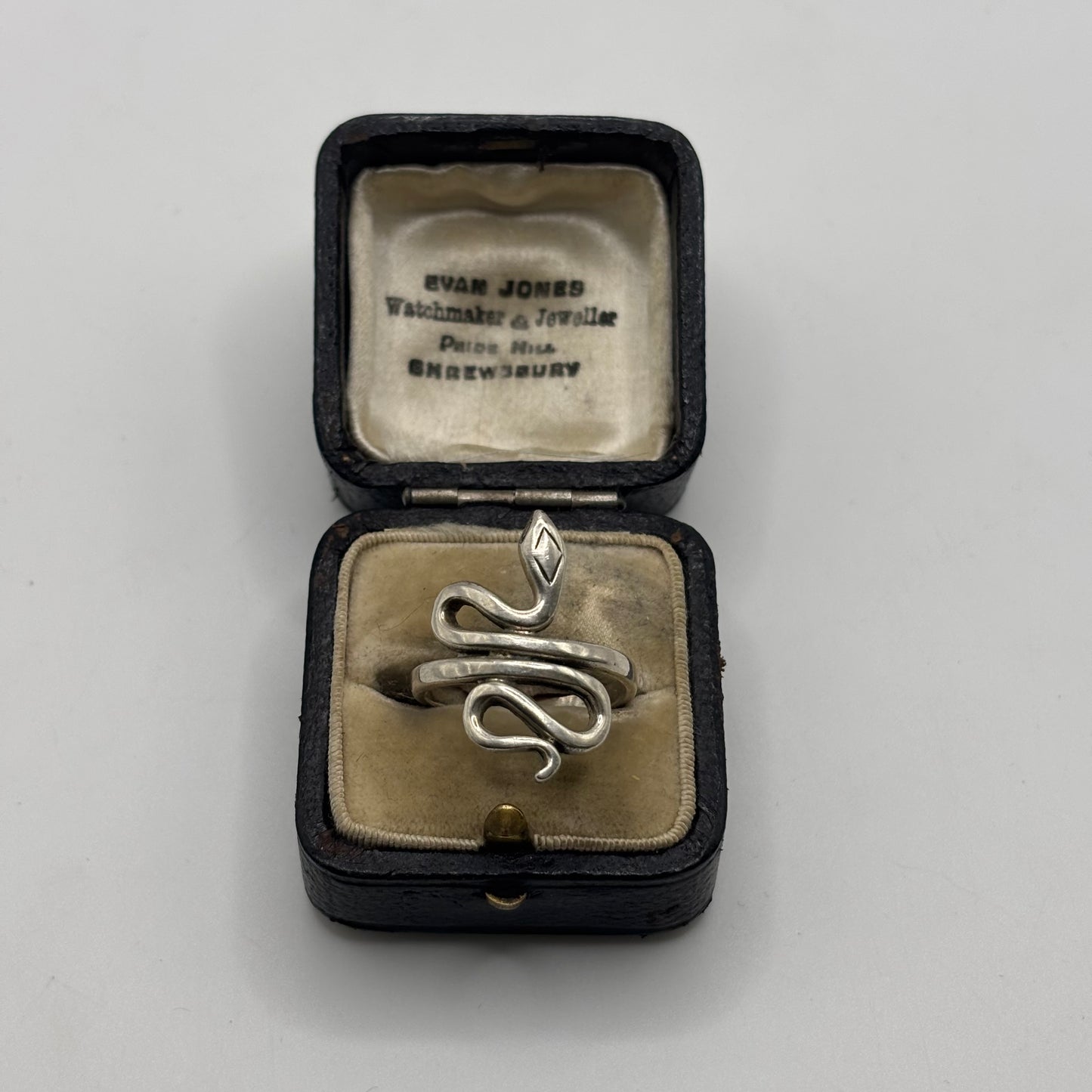 Silver Snake Ring (P)