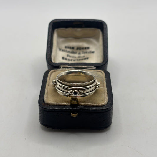 Silver Kyanite Spinner Ring (O 1/2)