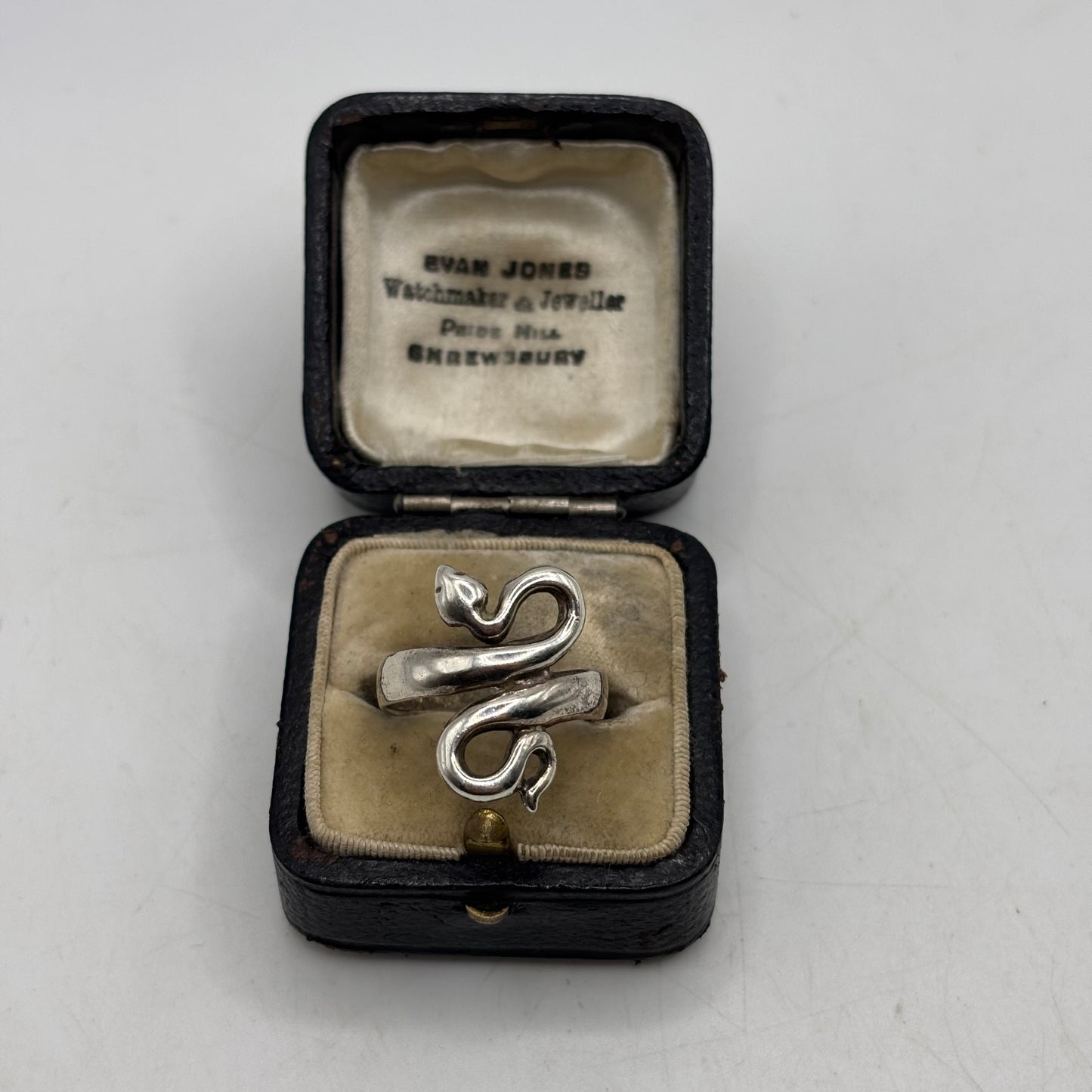 Silver Snake Ring (O)