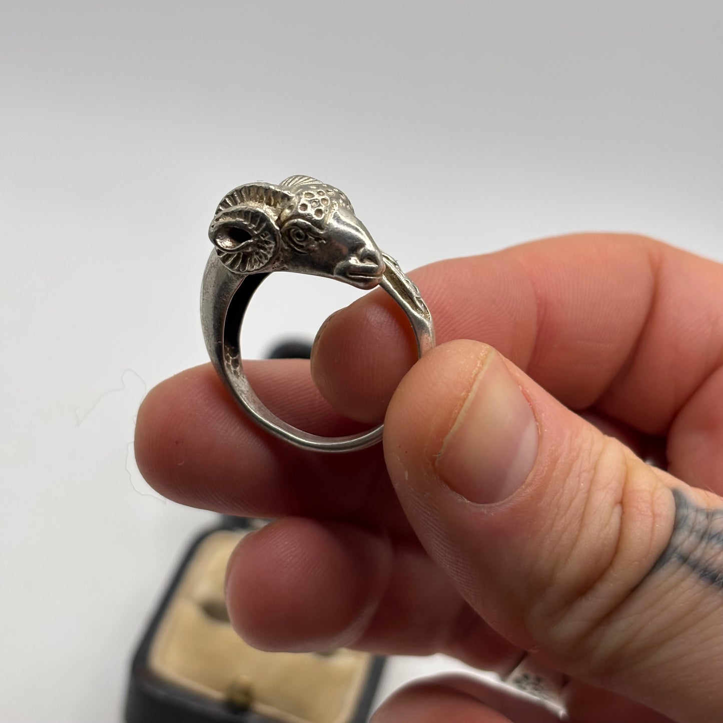 Silver Beautiful Rams Head Ring (T)