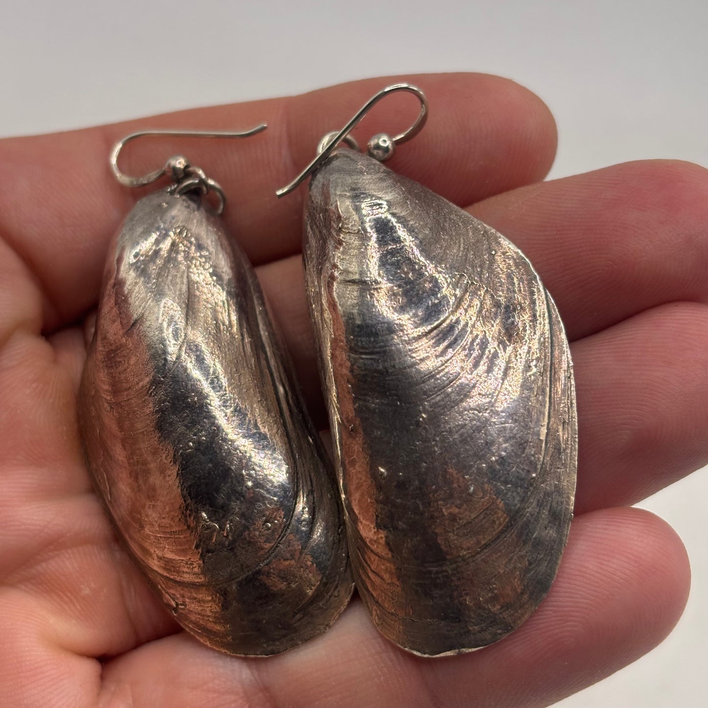 Silver Shell Earrings (65mm)