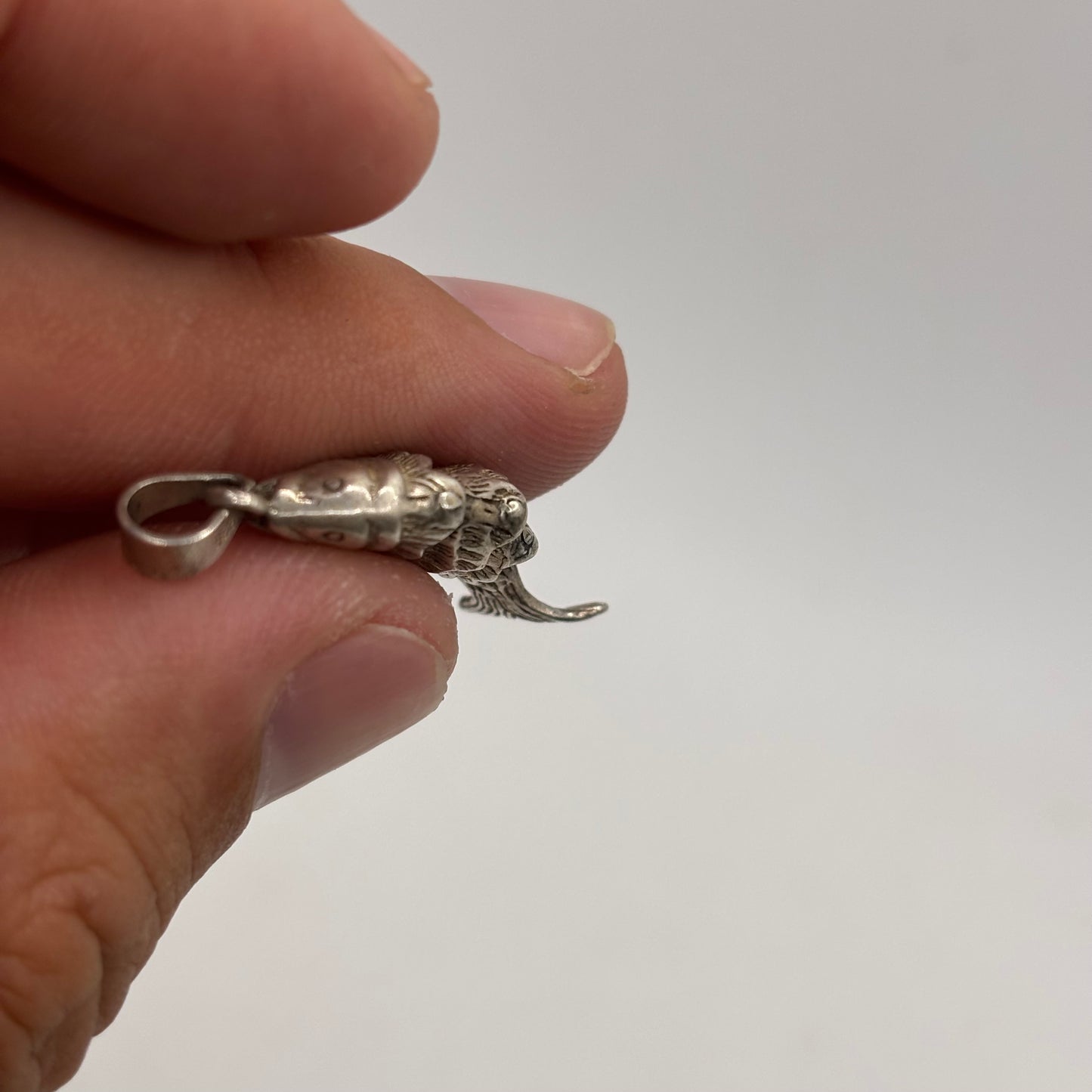 Silver Anatomical Fish (35mm)