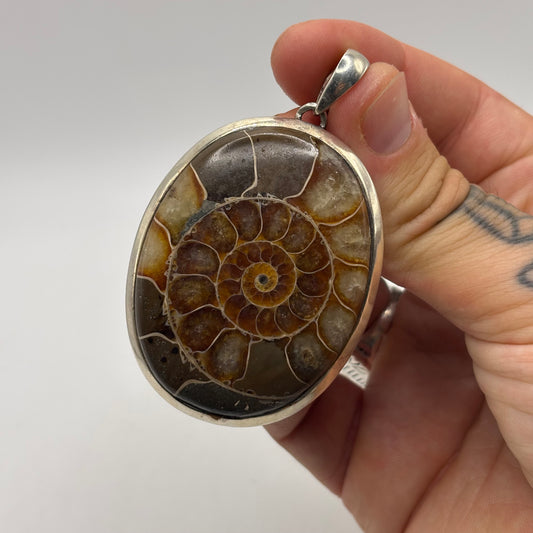 Silver Large Ammonite Pendant